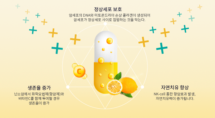 통합의학(integrative medicine)에 대해 설명하는 그림