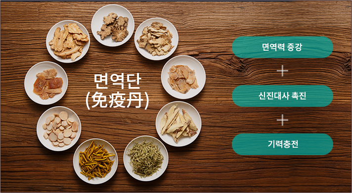 통합의학(integrative medicine)에 대해 설명하는 그림