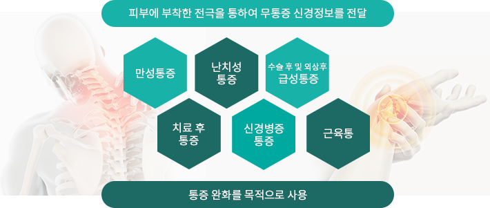 통합의학(integrative medicine)에 대해 설명하는 그림