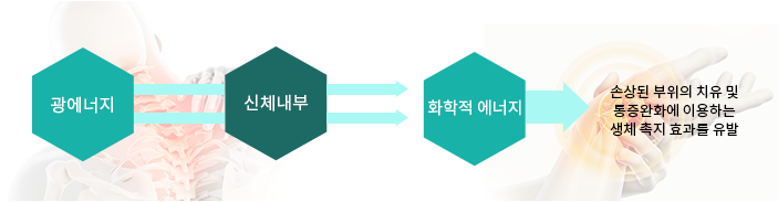 통합의학(integrative medicine)에 대해 설명하는 그림