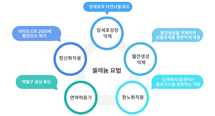 통합의학(integrative medicine)에 대해 설명하는 그림